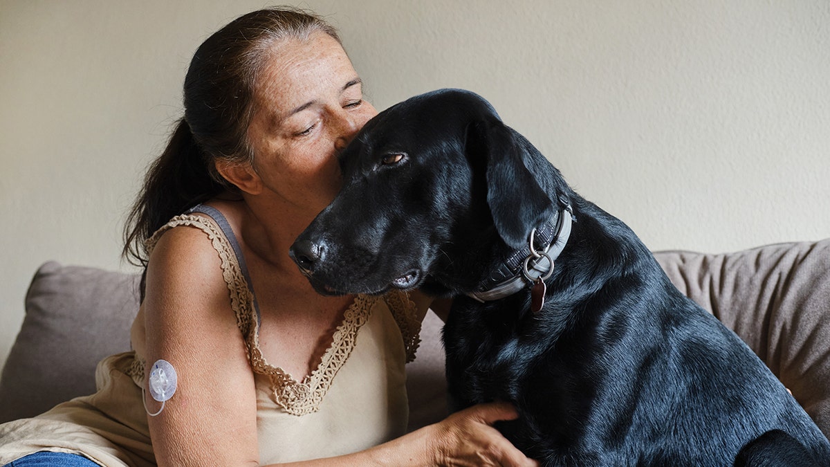 A black labrador retriever sits on the couch with her owner who has diabetes.