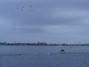 Mexican Navy plane crashes off US coast, killing five