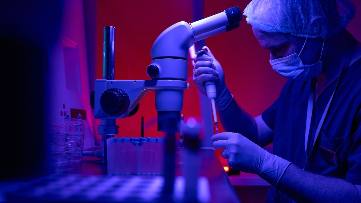 IVF preparation in laboratory